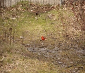 2014 04 27 WestwoodHills 016